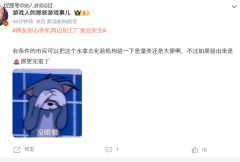 <b>我们不克不及仅仅逗留正在和担</b>